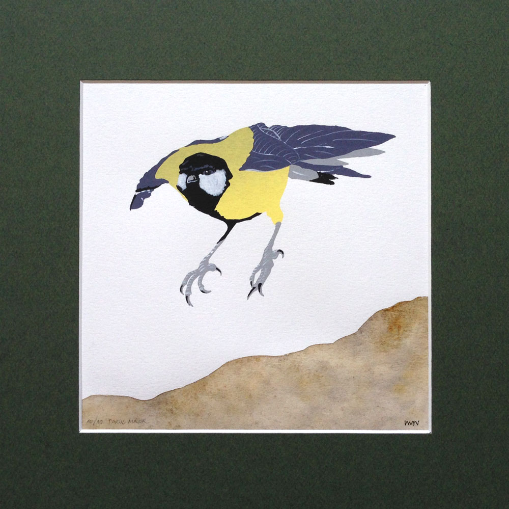 Parus Major - Montse Sánchez Vioque Parus Major - Montse Sánchez Vioque