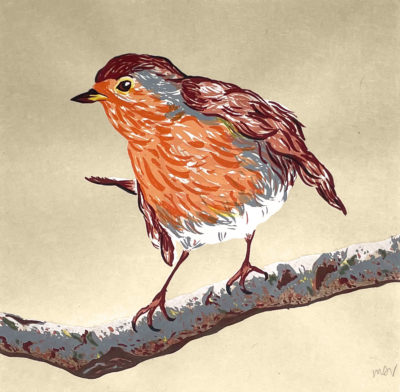Erithacus Rubecula - Montse Sánchez Vioque